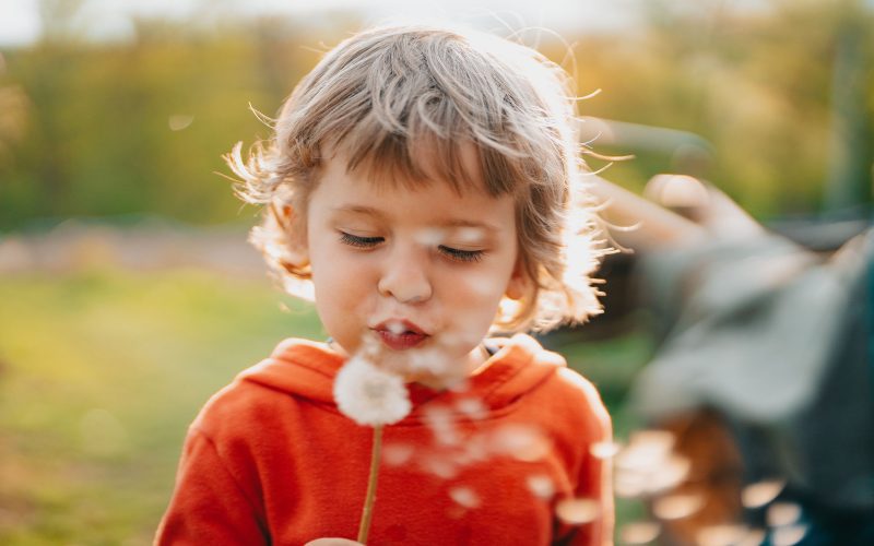 Happy little boy blowing on dandelion in park. 3 years old child making wishes, joy, childhood concept. High quality photo